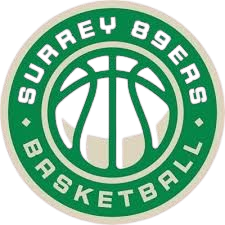 布里斯托尔学院